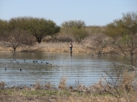 Fisherman at Amistad